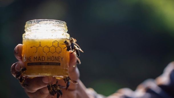 The Sweet & Potent Buzz: Exploring the World of Mad Honey