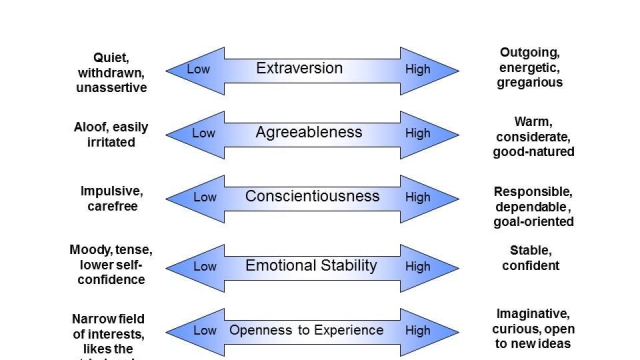 Unveiling the Inner You: Exploring the Fascinating World of Personality Tests