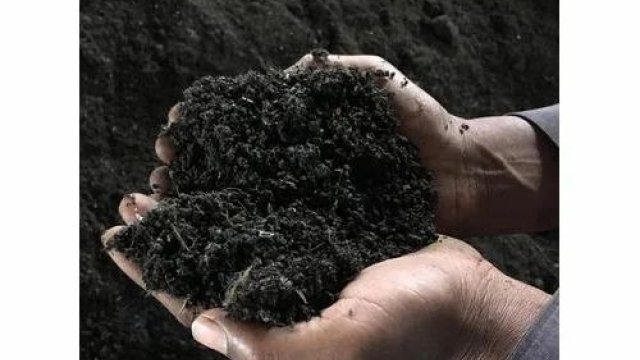 The Green Revolution: Unveiling the Power of Organic Fertilizer