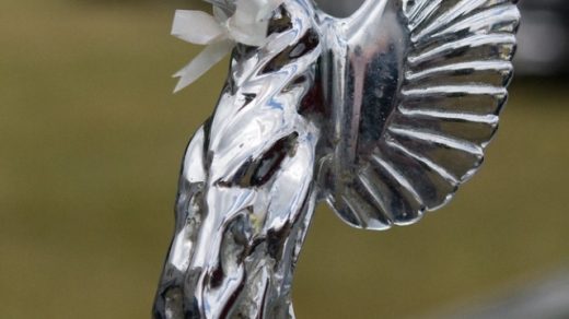 The Glittering Rarity: Exploring the World of Rare Silver Eagles