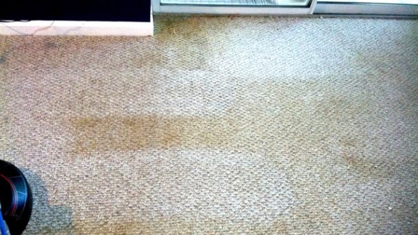 Fresh Footprints: The Ultimate Guide to Revitalizing Your Carpets