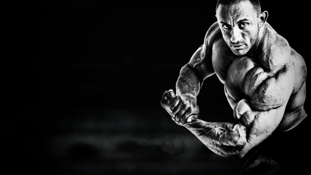 Muscle Mania: Unleashing Your Ultimate Bodybuilding Potential