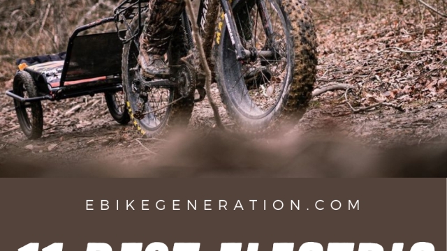 Powering Up the Hunt: The Rise of Electric Bikes in Hunting