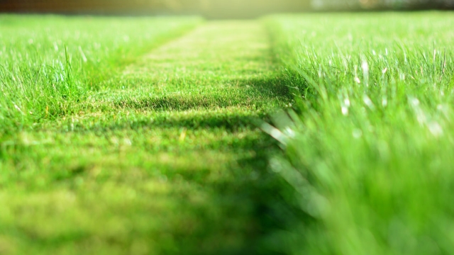 The Ultimate Guide to Effortless Lawn Care: Mastering the Art of Mowing