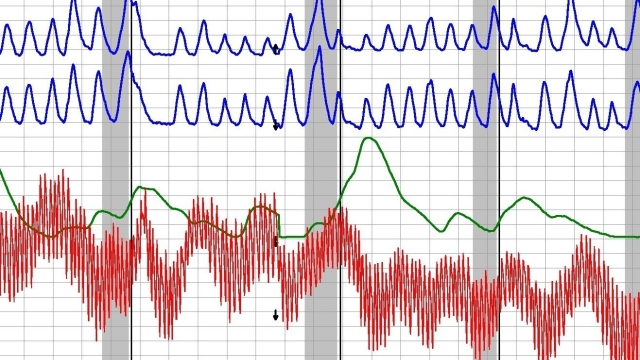 Unmasking the Truth: The Power of the Lie Detector Test