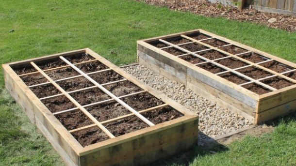 The Art of Raised Garden Beds: Elevating Your Green Space