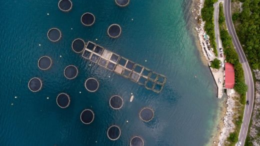 Revolutionizing the Waves: The Future of Aquaculture Technology