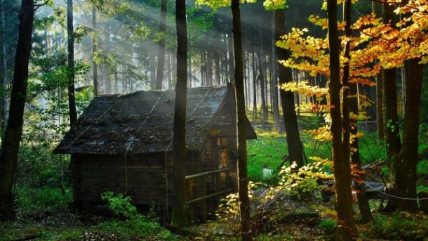 Timber Dreams: Crafting a Cozy Retreat with Log Cabins and Homes